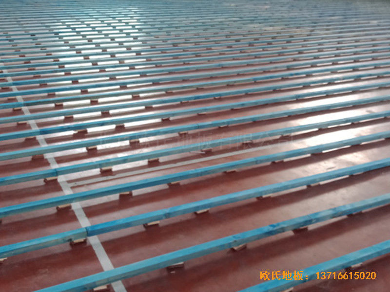 河北滄州體育學校籃球館體育地板施工案例1