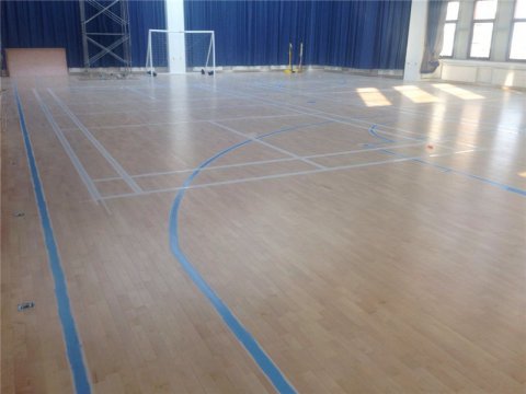 中國體育運動木地板行業(yè)的機遇與危機