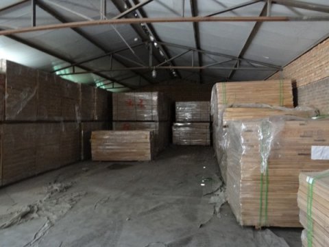 體育館選擇運動木地板，提前做好以下工作
