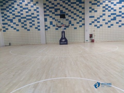 有什么專(zhuān)業(yè)籃球場(chǎng)地板