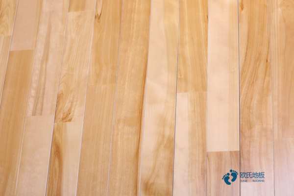 尋求運動地板品牌排行榜