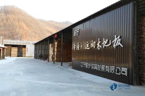 運(yùn)動(dòng)木地板面板材質(zhì)和質(zhì)量您清楚嗎