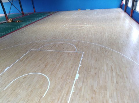 江蘇江陰市榜樣體育俱樂部楓樺A級(jí)板