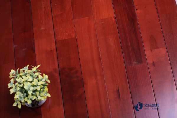 楓木運動籃球木地板價格行情