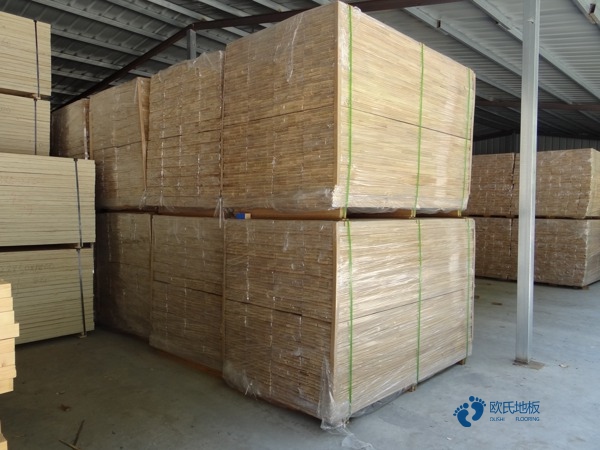 室內(nèi)標準籃球場木地板2