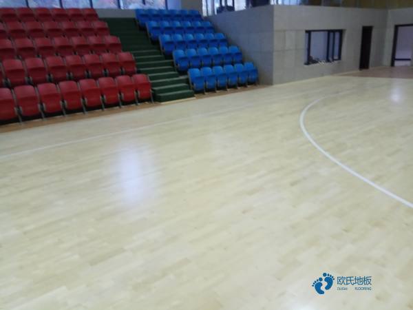運動木地板有哪些品牌3