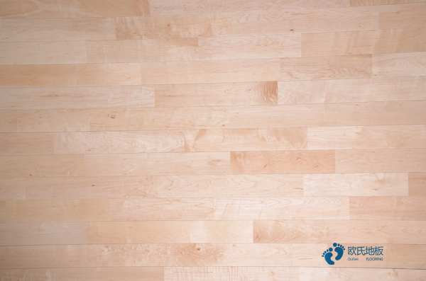 學校運動籃球木地板價格便宜