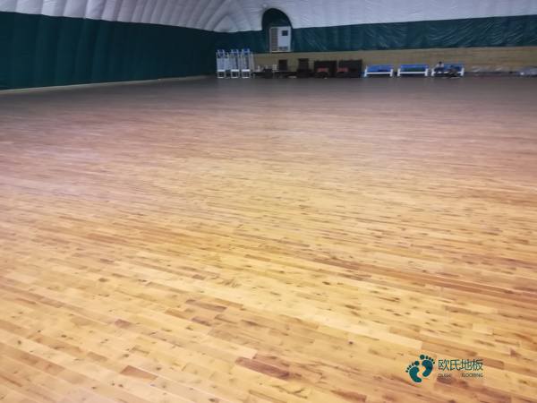 運動木地板博納品牌2