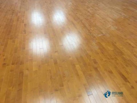 籃球館體育木地板價格