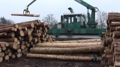 學校籃球場館地板耐磨系數