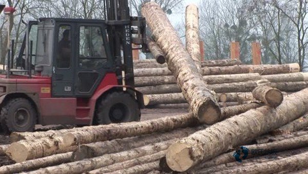 籃球場木地板施工技術要求3