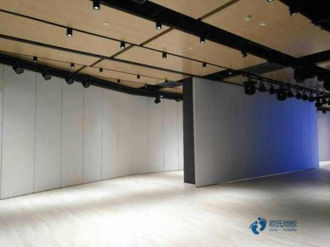 楓樺木運(yùn)動(dòng)籃球木地板報(bào)價(jià)