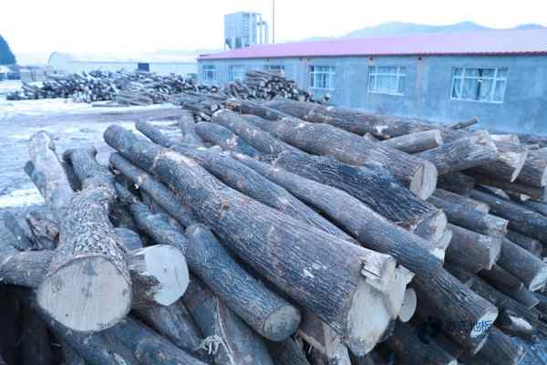 校園運(yùn)動(dòng)籃球木地板價(jià)格多少錢(qián)