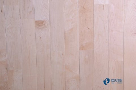 室內體育運動木地板