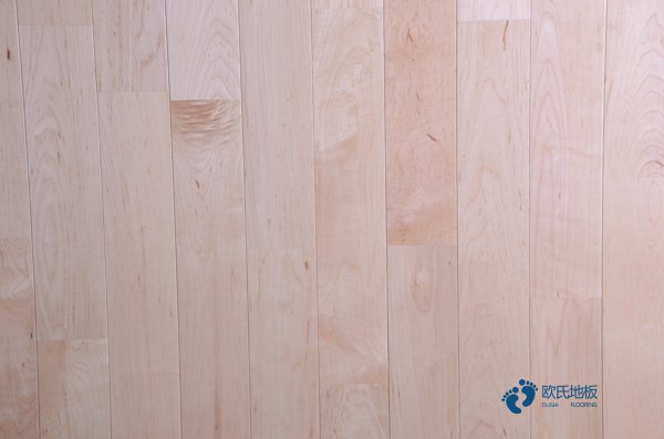 室內體育運動木地板1