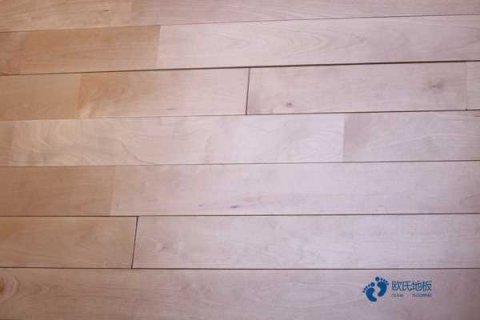 籃球場木地板尺寸