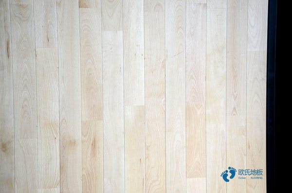 體育館運(yùn)動木地板進(jìn)水3